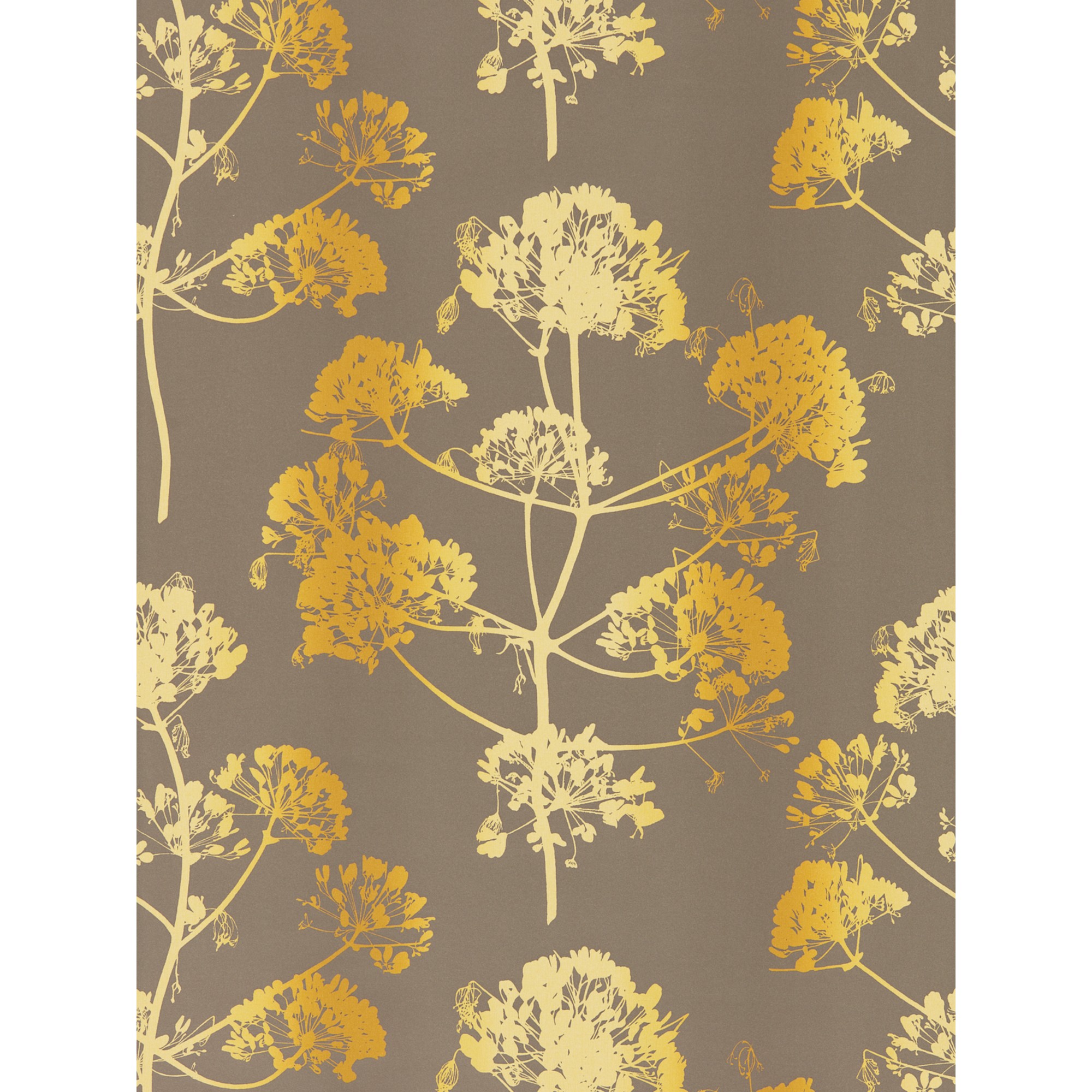 Angeliki Wallpaper 111403 By Harlequin In Mimosa Antique Gold